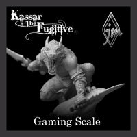 
              Kassar the Fugitive - Gaming Scale
            